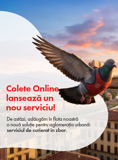 Porumbel Express - serviciu nou de curierat prin porumbel